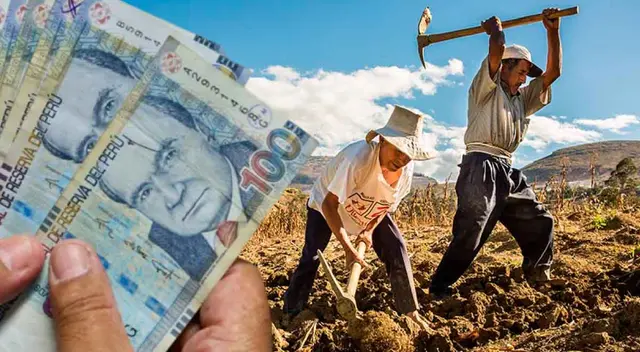 Conoce en esta nota si recibirás los 350 soles de este subsidio económico que entregará el Estado. Conoce en esta nota si recibirás los 350 soles de este subsidio económico que entregará el Estado.