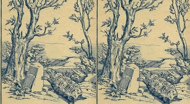 ¿Podrás superar en solo 7 segundos esta prueba visual de nivel EXTREMO?