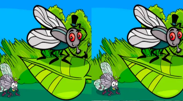 Ubica en solo 10 segundos las 5 diferencias de este reto visual Ubica en solo 10 segundos las 5 diferencias de este reto visual