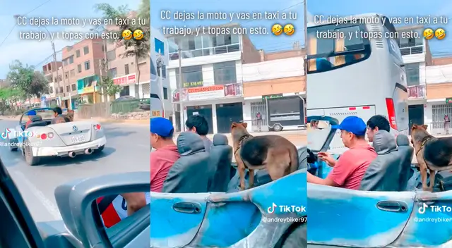 Hombres y su perrito se pasean en singular auto que causa sensación en las redes sociales.