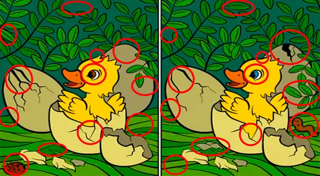 retos visuales