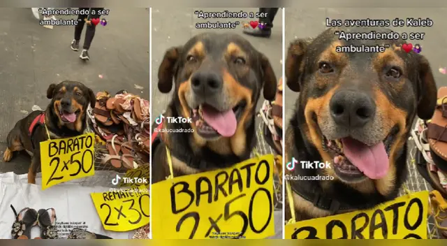 Viral: 'Chulito' conquista a miles de usuarios en TikTok con su forma de ganarse la vida