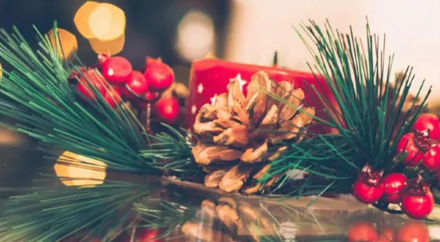 De forma tradicional se ha establecido el rojo, verde y dorado como los colores por excelencia de la Navidad. | Fuente: Revista Familia.