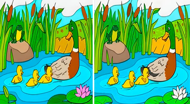 Si cuentas con habilidades superiores a los demás podrás resolver este reto visual en poco tiempo. Si cuentas con habilidades superiores a los demás podrás resolver este reto visual en poco tiempo.