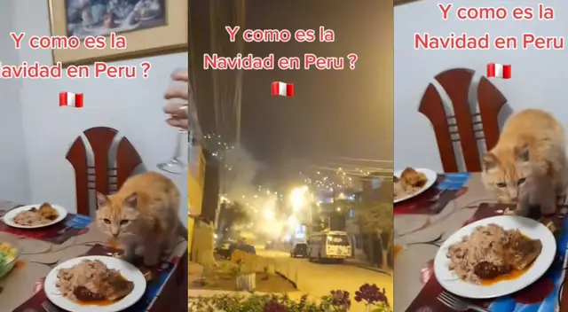 Familia casi pierde su cena navideña por gato que comió de su pavo