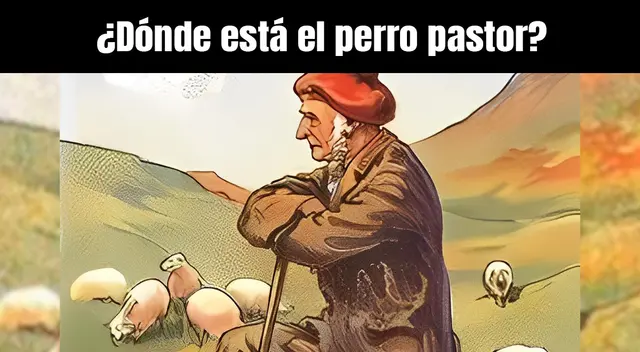 ¿Ubicas al perro pastor? Un verdadero GENIO lo descubre solamente en 8 segundos