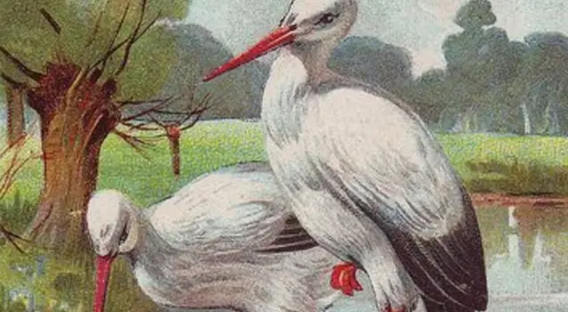 La pintura de las garzas esconde un niño que deberás ubicarlo en 7 segundos.