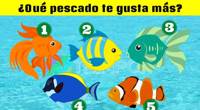 Elige un pez y averigua si te tienen envidia