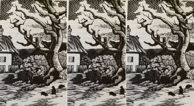 ¿Podrás hallar al felino en solo 5 segundos? Apenas 1 de cada 100 usuarios lo encontraron. ¿Podrás hallar al felino en solo 5 segundos? Apenas 1 de cada 100 usuarios lo encontraron.