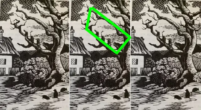 La imagen pertenece a un libro de ilustraciones y se ha vuelto viral en las redes sociales. | Fuente: Nick Hayes La imagen pertenece a un libro de ilustraciones y se ha vuelto viral en las redes sociales. | Fuente: Nick Hayes