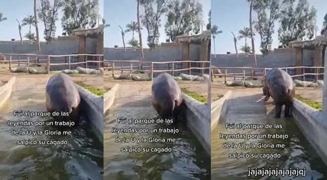 Joven asegura que un total de 3 animales le dejaron un peculiar "recuerdo" en su visita al zoológico.
