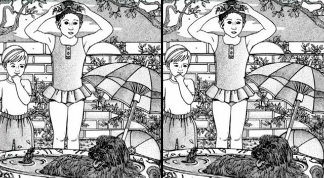 Solo las personas que tienen una buena vista logran resolver este reto extremo. Solo las personas que tienen una buena vista logran resolver este reto extremo.