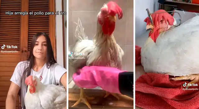 Para recibir el 2023, el animal se coronó con su outfit gracias a la atención especial que le dio su dueña. Para recibir el 2023, el animal se coronó con su outfit gracias a la atención especial que le dio su dueña.