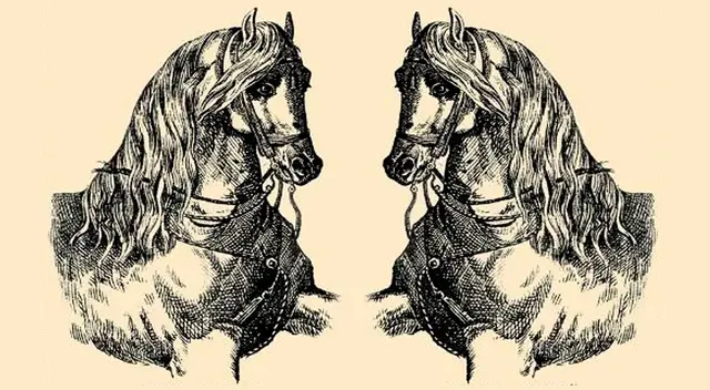 No te rindas fácilmente y da lo mejor de ti para lograr superar este reto visual extremo en solo 5 segundos. No te rindas fácilmente y da lo mejor de ti para lograr superar este reto visual extremo en solo 5 segundos.