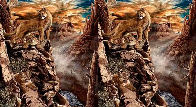 ¿Podrás superar este reto superior en segundos? ¡Demuéstralo! ¿Podrás superar este reto superior en segundos? ¡Demuéstralo!