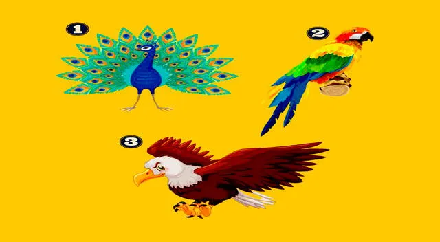 Piensa sabiamente y escoge cuál de las aves te gusta más para que puedas conocer si eres una persona hipócrita.