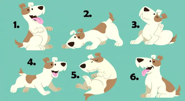 Elige a un perrito del test viral y  conoce más de ti en poco tiempo.