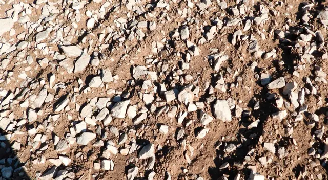 Si quieres convertirte en un genio, resuelve este desafío viral en solo segundos. Si quieres convertirte en un genio, resuelve este desafío viral en solo segundos.