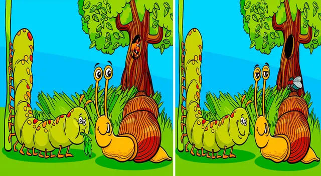 Desafía tu mente y logra encontrar todas las diferencias de este reto visual en solo 7 segundos.