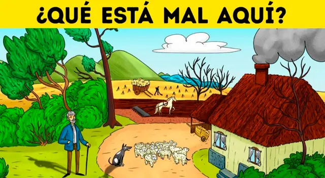 Si logras ver todas las diferencias eres muy inteligente Si logras ver todas las diferencias eres muy inteligente