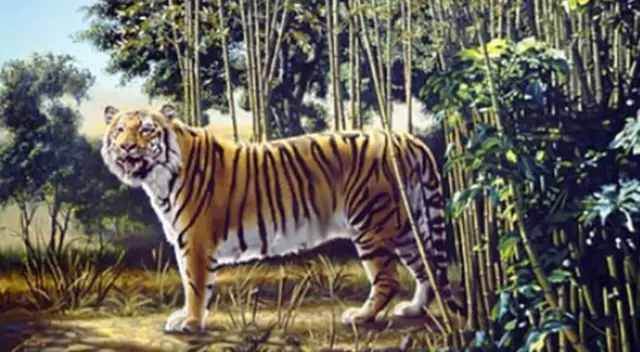 Solo una mente privilegiada es capaz de superar en pocos instantes el desafío de esta semana. Solo una mente privilegiada es capaz de superar en pocos instantes el desafío de esta semana.