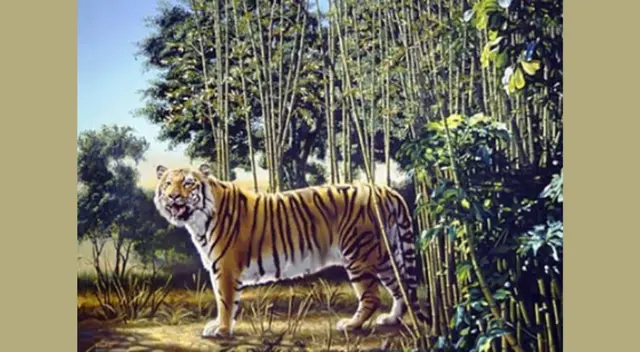 Mira con detenimiento y no te distraigas: ¿dónde está el otro tigre en la imagen? | Fuente: Pinterest. Mira con detenimiento y no te distraigas: ¿dónde está el otro tigre en la imagen? | Fuente: Pinterest.