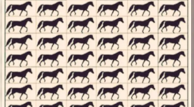 Este reto visual solo pudo ser resuelto por el 1% de usuarios de las redes sociales.