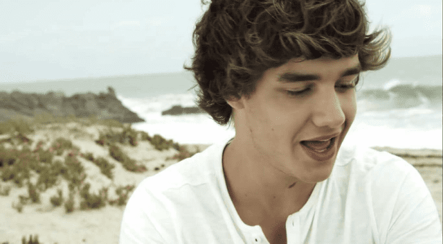One Direction se convirtió en una de las One Direction se convirtió en una de las