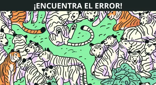 Pon a prueba tus habilidades con este reto visual. Pon a prueba tus habilidades con este reto visual.