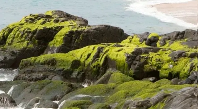 Si resuelves este reto visual en segundos podrás pasar al NIVEL LEYENDA.