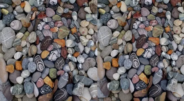 Apenas el 5% de participantes pudo detectar dónde se esconde el misterioso hombre. Apenas el 5% de participantes pudo detectar dónde se esconde el misterioso hombre.