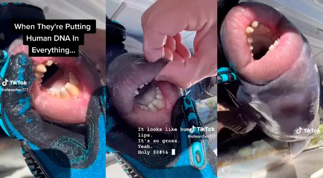 El peculiar espécimen generó alarma en miles de usuarios de TikTok. ¿Qué es realmente?
