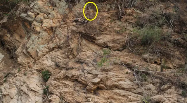 Solución reto visual. Solución reto visual.