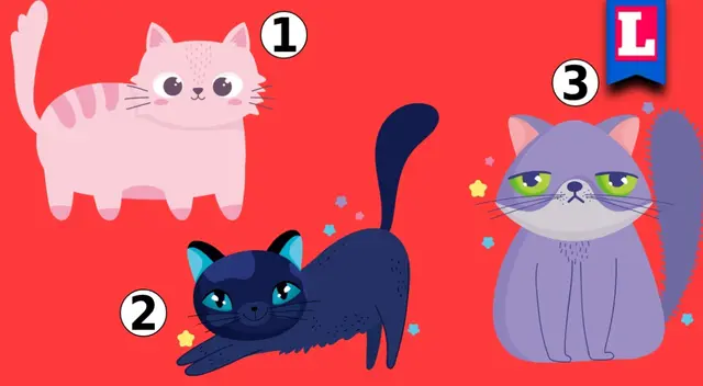 ¿Eres amante de los 'michis'? Atrévete a descubrir la sinceridad de tu alma con esta prueba viral. ¿Eres amante de los 'michis'? Atrévete a descubrir la sinceridad de tu alma con esta prueba viral.