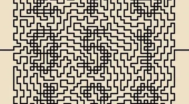 Encuentra los 9 números ocultos en esta imagen viral Encuentra los 9 números ocultos en esta imagen viral