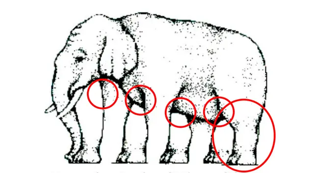 retos visuales retos visuales