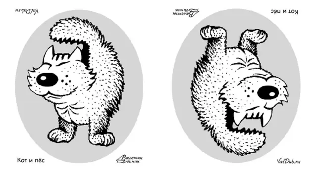 El animal que veas primero podrá determinar cuán independiente eres con tus emociones.