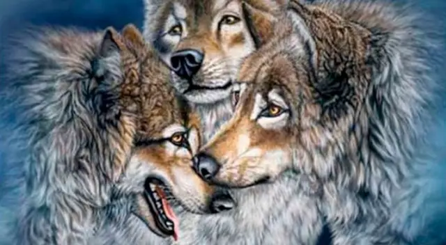 Fíjate dónde están los lobos ocultos en esta imagen viral de las redes sociales. Fíjate dónde están los lobos ocultos en esta imagen viral de las redes sociales.