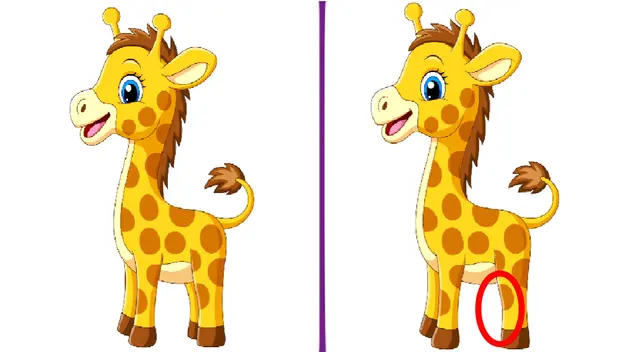 reto visual reto visual