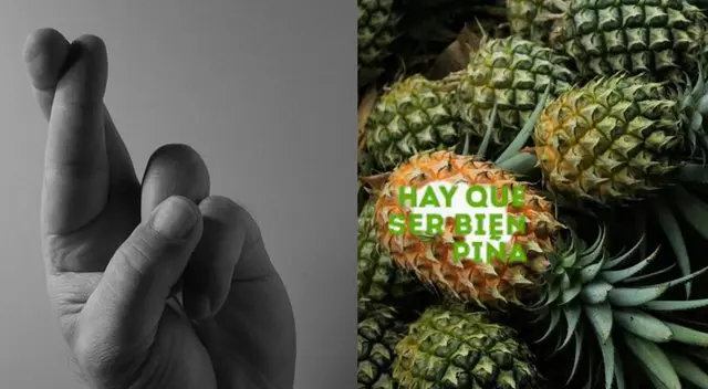 ¿Cuál es el significado que tiene "ser piña" en Perú? ¿Cuál es el significado que tiene "ser piña" en Perú?