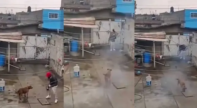 Hombre lanza pirotecnia para asustar a perro, pero termina con el cohete encima