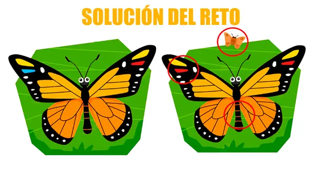 reto visual reto visual