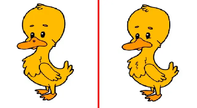 Solo tienes una oportunidad para desarrollar este complicado reto visual. Solo tienes una oportunidad para desarrollar este complicado reto visual.