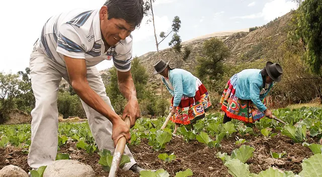 ¿Qué es el Bono FertiAbono 2023 y cómo se entregará a los agricultores? ¿Qué es el Bono FertiAbono 2023 y cómo se entregará a los agricultores?