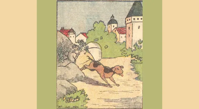 ¿Serás capaz de hallar al compañero fiel del pequeño canino? Tienes pocos segundos para lograrlo.