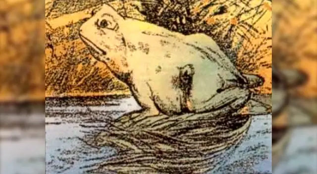 ¿Lograrás ver al caballo oculto en esta imagen? Casi nadie pudo en segundos.