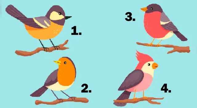 Sé sincero y conoce si eres una persona que se ilusiona con facilidad. Sé sincero y conoce si eres una persona que se ilusiona con facilidad.