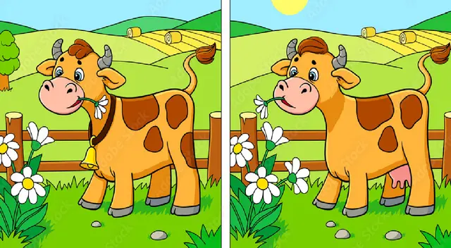 Desarrolla este reto visual en tiempo récord y demuestra que eres el mejor. Desarrolla este reto visual en tiempo récord y demuestra que eres el mejor.