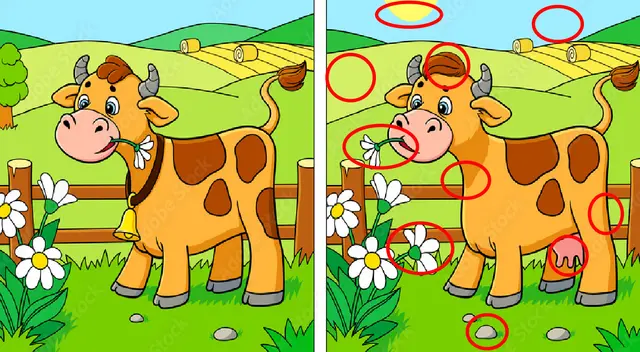reto visual reto visual