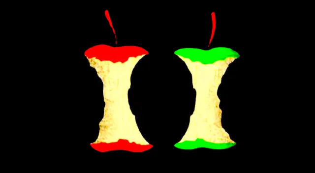 Observa con detenimiento la imagen del test de personalidad y descubre más aspectos de tu vida. Observa con detenimiento la imagen del test de personalidad y descubre más aspectos de tu vida.
